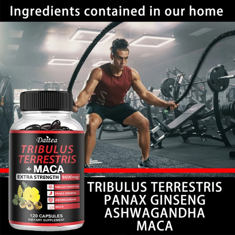 Complejo de Tríbulus Terrestris + Maca, Ashwagandha y Panax Ginseng para Vitalidad y Resistencia