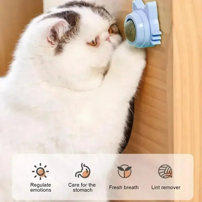 Juguete de Catnip Natural Giratorio para Pared con Adhesivo para Gato (Salud Digestiva)