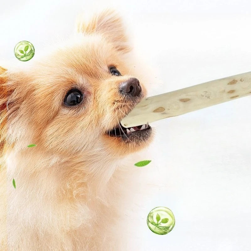 Mordedor Natural de Madera de Café para Perros