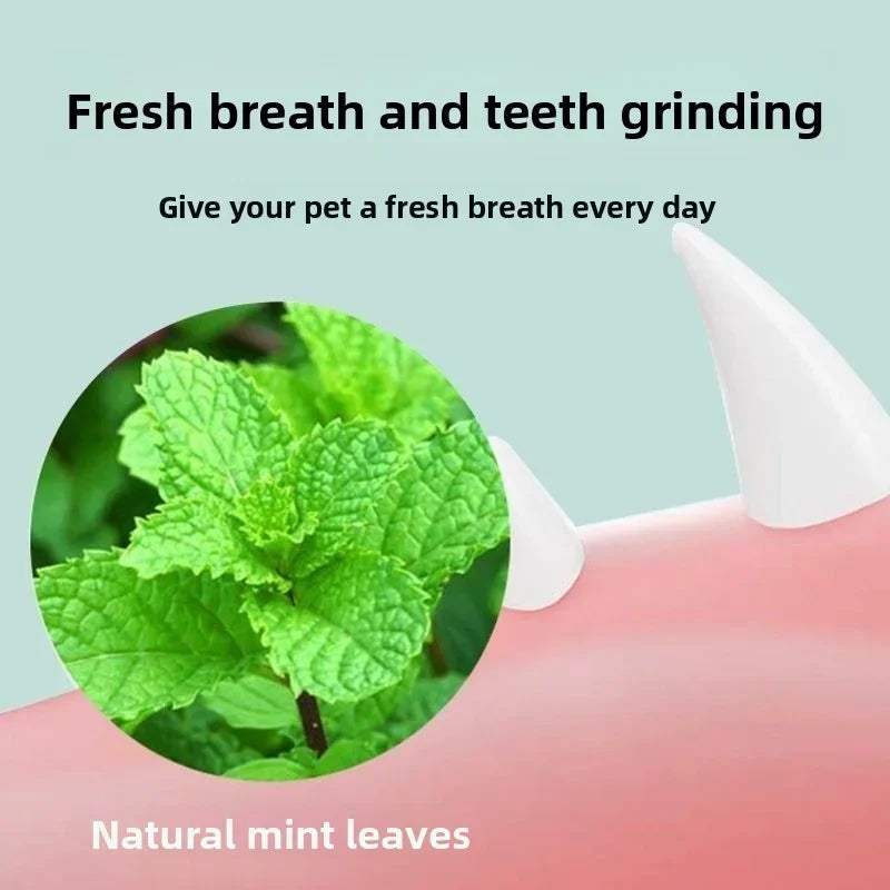 Juguete de Catnip Natural Giratorio para Pared con Adhesivo para Gato (Salud Digestiva)