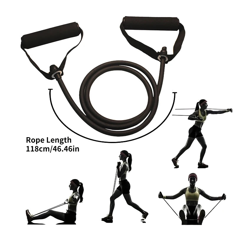 Suplemento de Beta Ecdisterona y Turkesterona para Masa Muscular y Fuerza