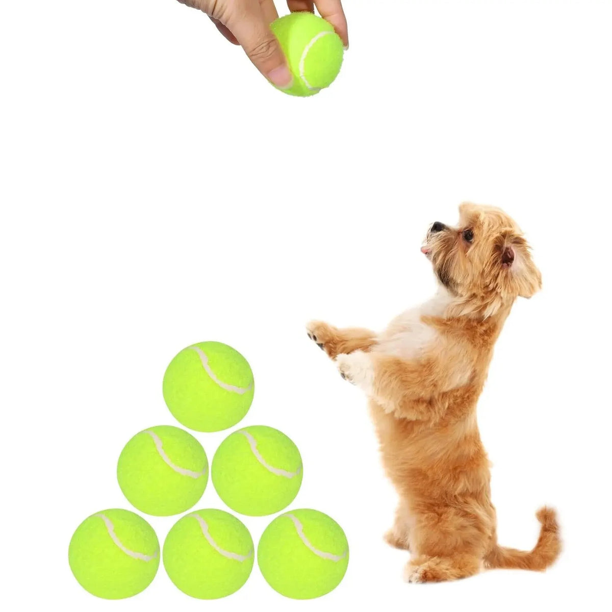 Pack de 12 Pelotas de Tenis Mini de 2 Pulgadas para Perro Chico Compatibles con Lanzador
