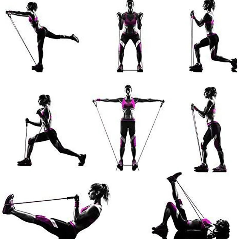 Suplemento de Beta Ecdisterona y Turkesterona para Masa Muscular y Fuerza