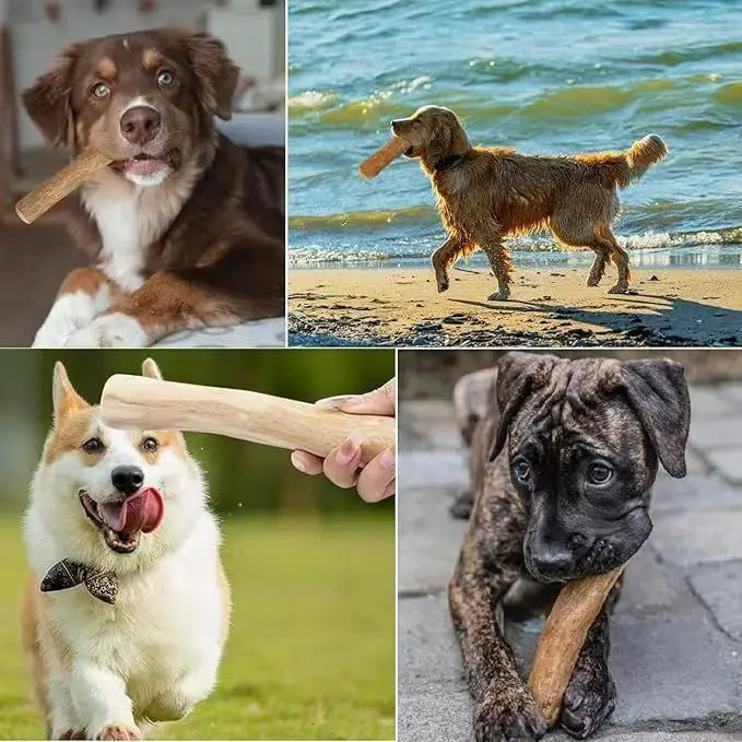 Mordedor Natural de Madera de Café para Perros